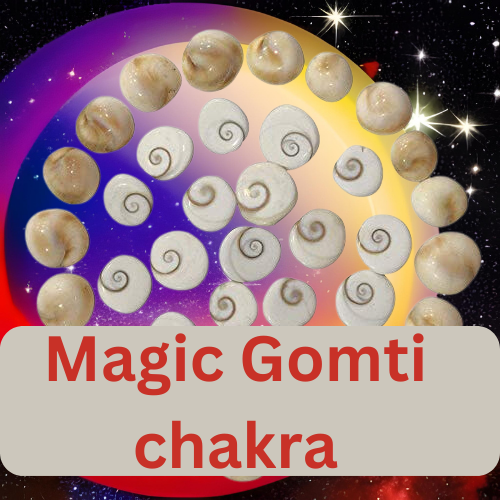 The Gomti Chakra Secret: Unleash Your Abundance